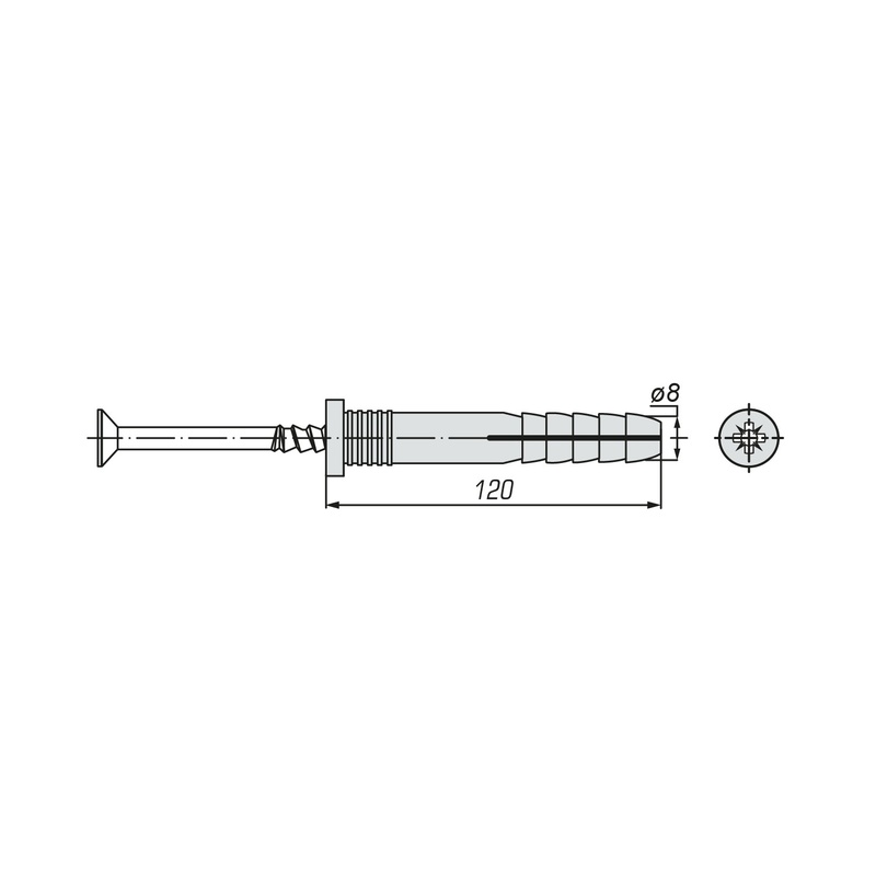 Дюбель-гвоздь SWFS 8L120 (50 шт)