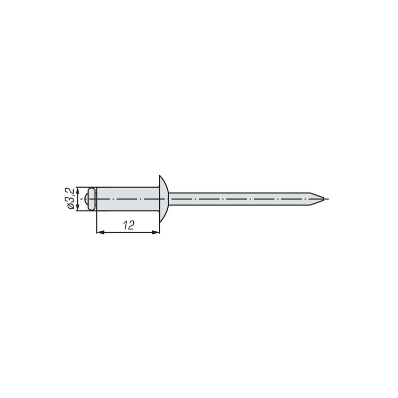 Заклепка вытяжная комбинированная SWFS 3,2х12 (22 шт) пакетик
